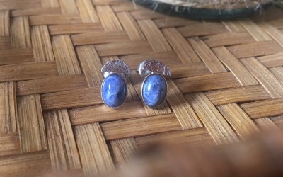 PENDIENTES PARA DIARIO