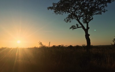 CÓMO ELEGIR LAS PIEDRAS ADECUADAS